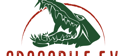 Flüchtlingsinitiative Crocodile e.V. gewinnt Dortmunder Gleichstellungspreis