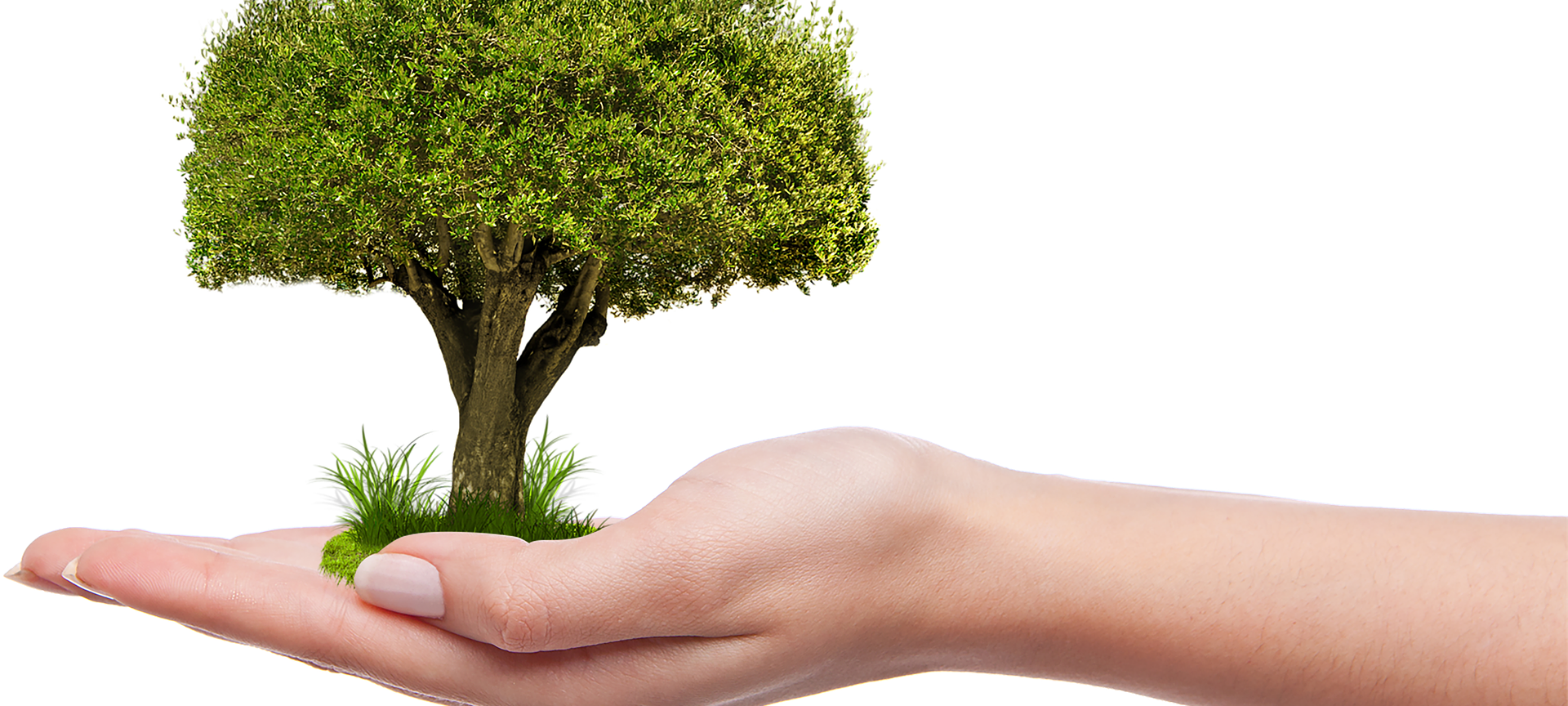 Dortmund spart tonnenweise CO2