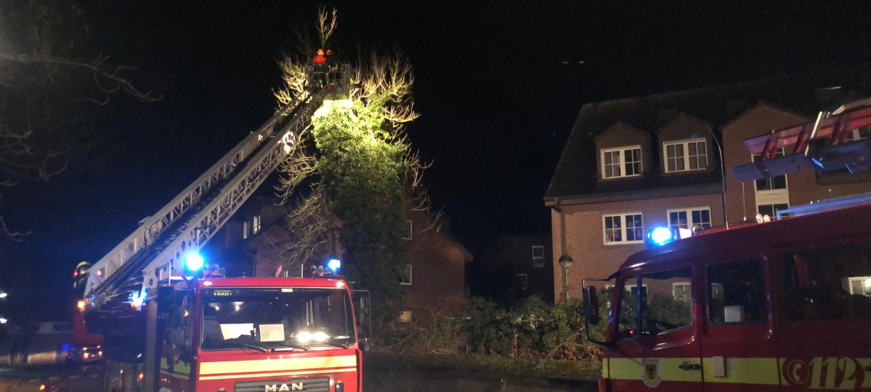Am Vogelpothsweg musste ein Baum abgetragen werden.