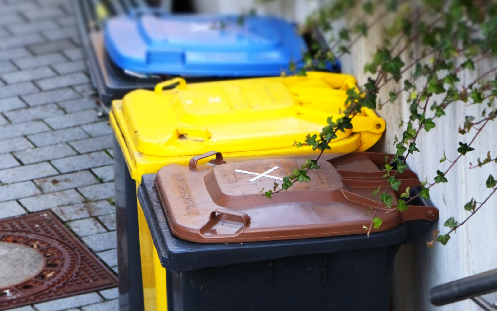 Wie trennt man richtig müll